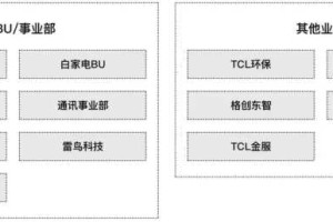 【中国知名企业高管团队】系列59：TCL